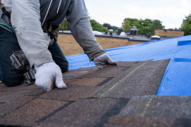 Roof Waterproofing Services in Shawnee Hills, OH